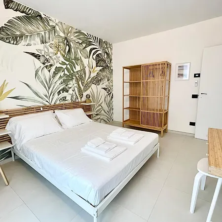 Domus Nova Apartmán